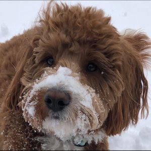 Meet your Posher, Claire